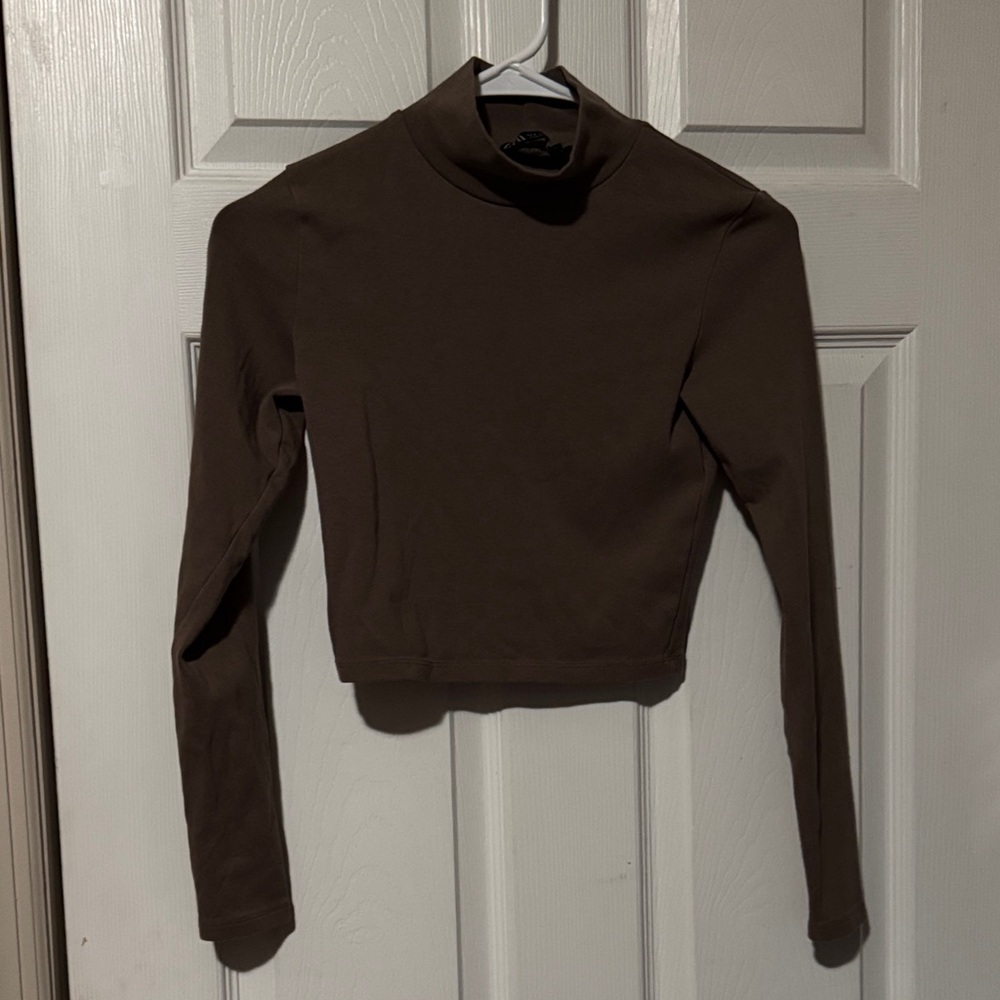 Zara Brown High-Neck Long Sleeve Crop Top